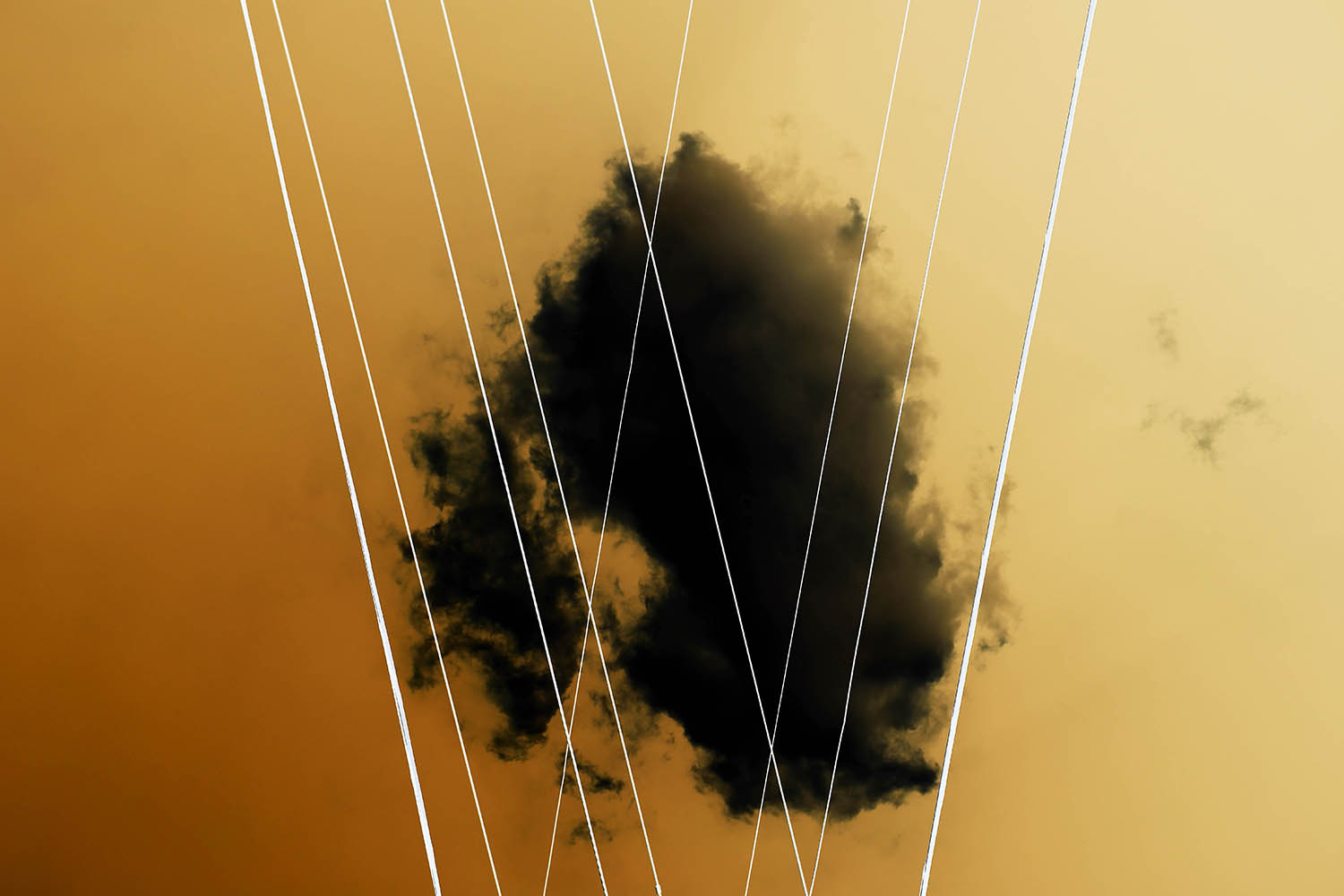 In_the_Beginning_-_Contamination_No.19_Adriano_Marinazzo-web