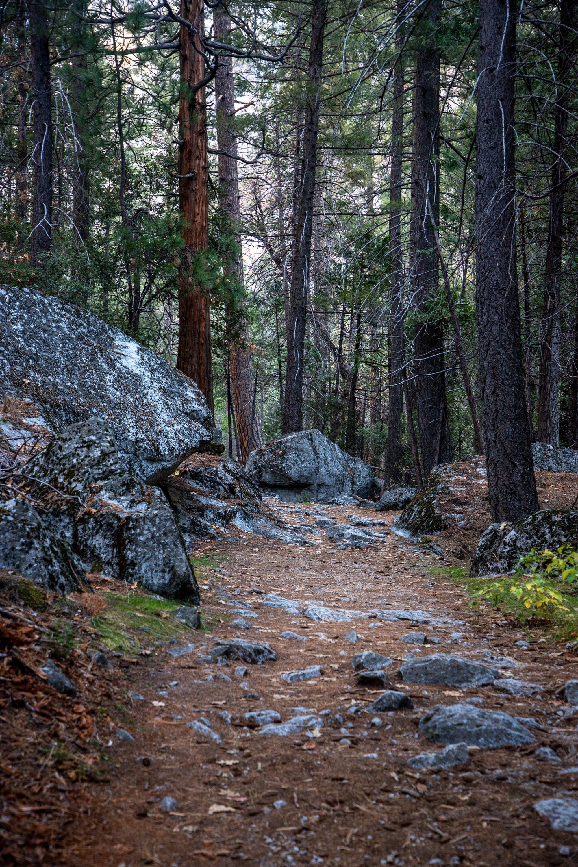 Mirror Lake Trail_Kradel 1