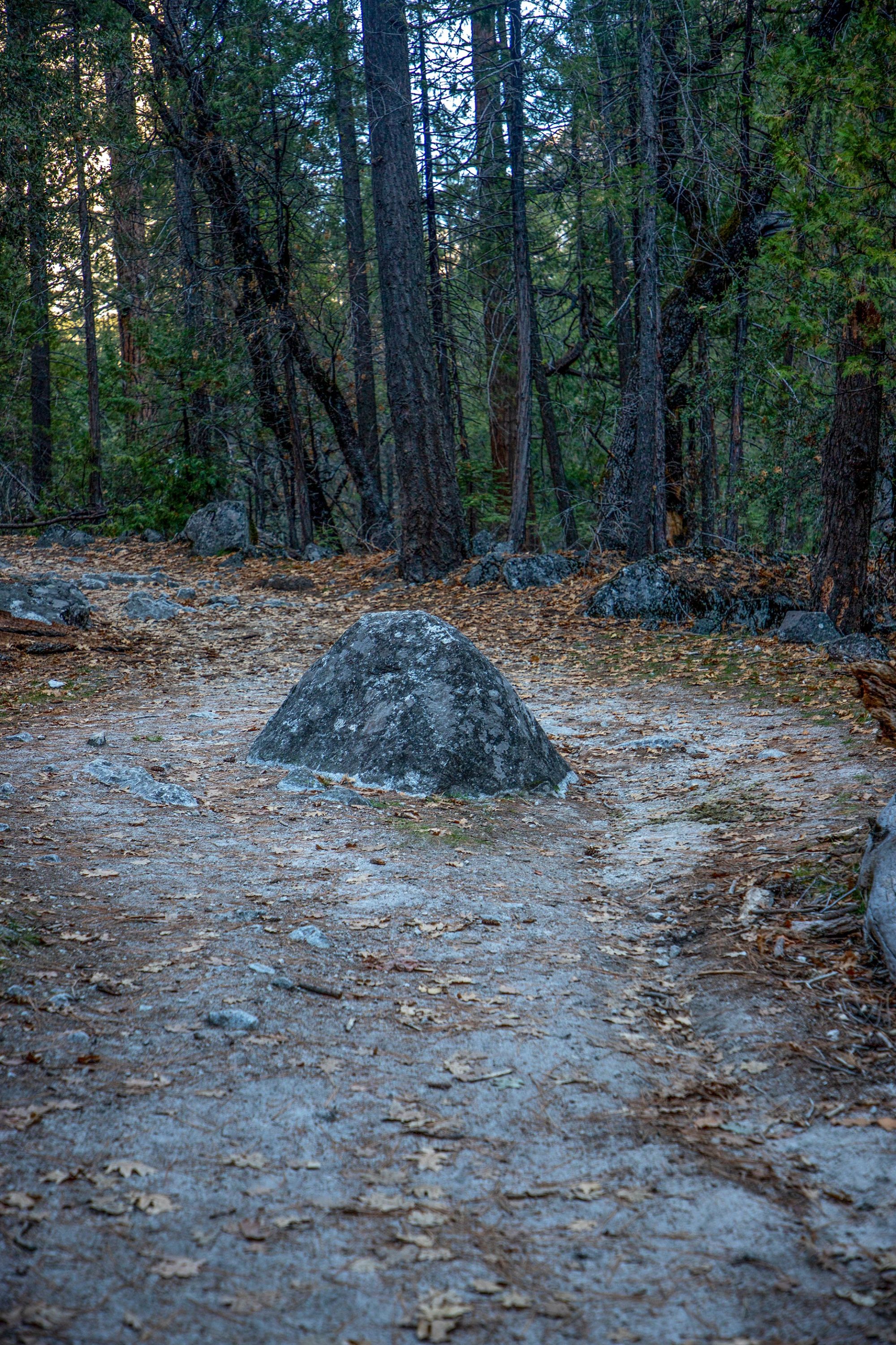 Mirror Lake Trail_Kradel 3